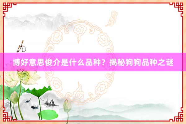 博好意思俊介是什么品种?揭秘狗狗品种之谜