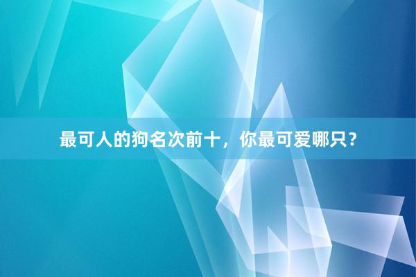 最可人的狗名次前十，你最可爱哪只？